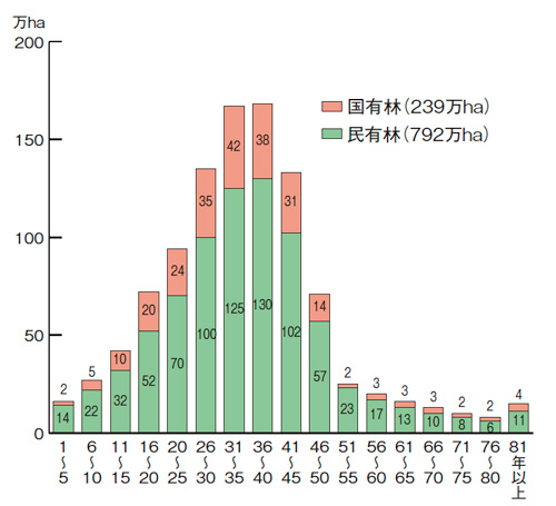 図4：人工林の林齢別面積
