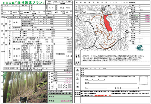 図6：日吉町森林組合の森林施業プラン