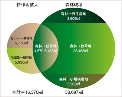 図10 マトグロッソ州における農地拡大と森林減少（2001-2004）