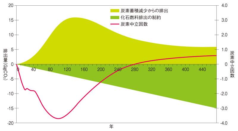 図：森林からのCO2吸収における炭素借金（出典：マイケル･ノートン氏資料）