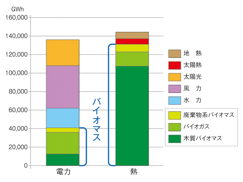 図：ドイツの再生可能エネルギー構成（2012）（梶山恵司氏提供）