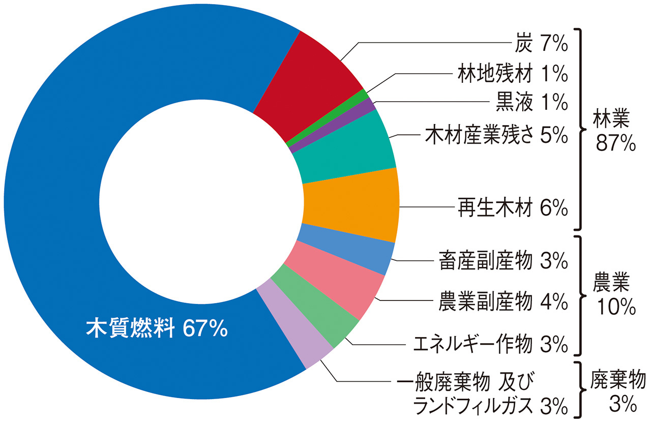 図：世界のバイオマス供給源の概観