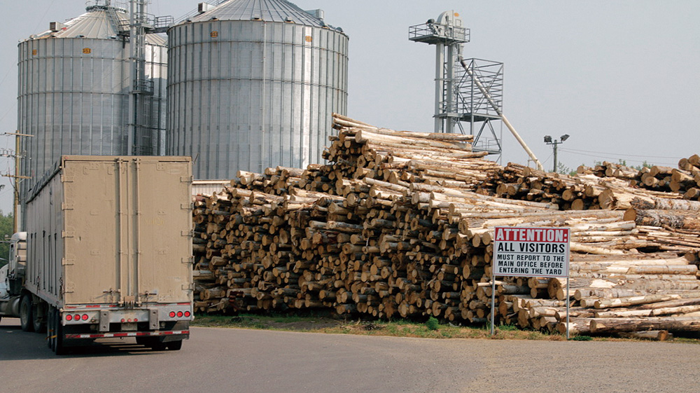写真：Pacific BioEnergy社のペレット工場に運び込まれる木材