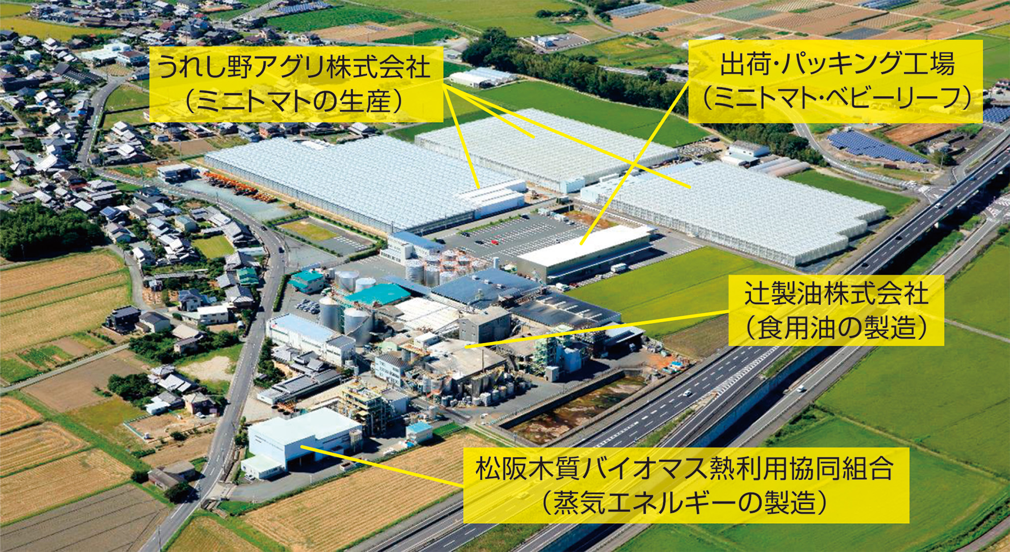 写真：辻製油本社工場・関連会社